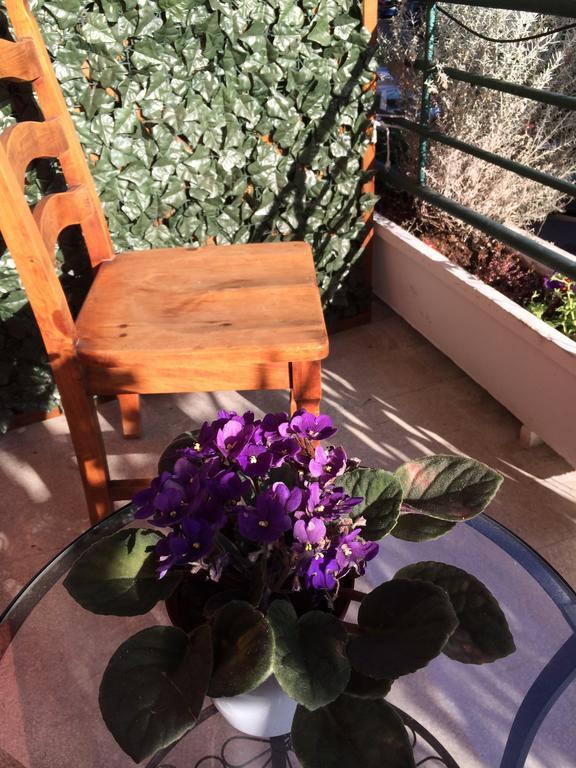 Shelisa B&B Roma Ngoại thất bức ảnh