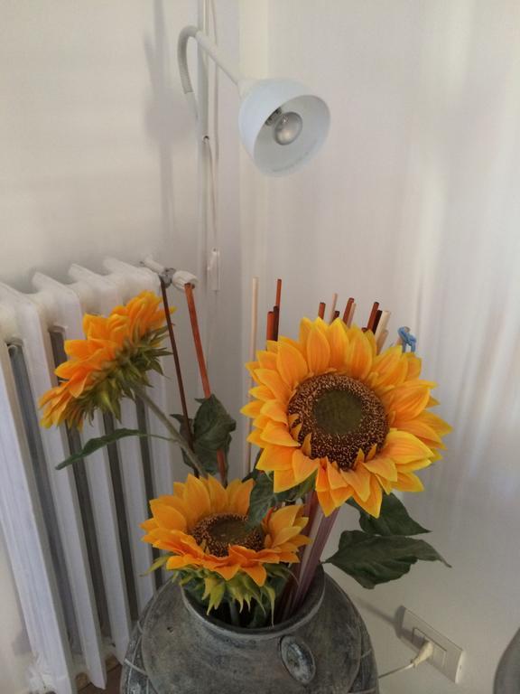 Shelisa B&B Roma Ngoại thất bức ảnh