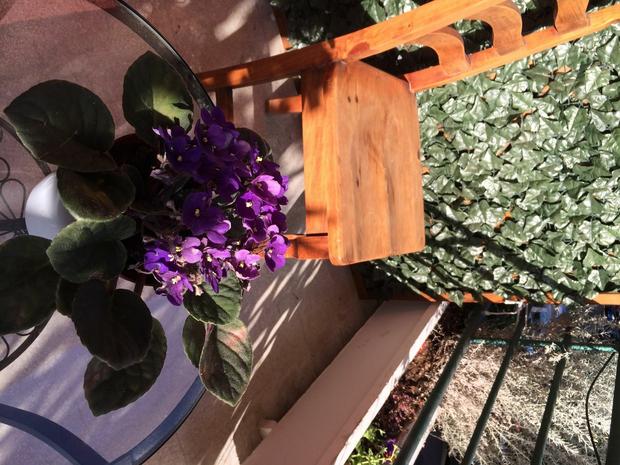 Shelisa B&B Roma Ngoại thất bức ảnh