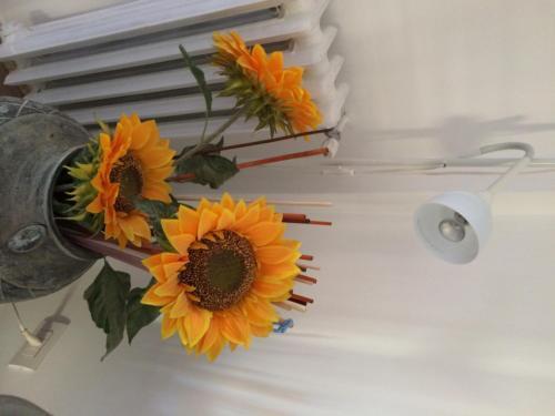 Shelisa B&B Roma Ngoại thất bức ảnh